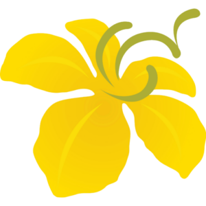 Royal Park Rajapruek E-Ticket