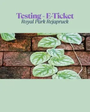 Testing - E-Ticket